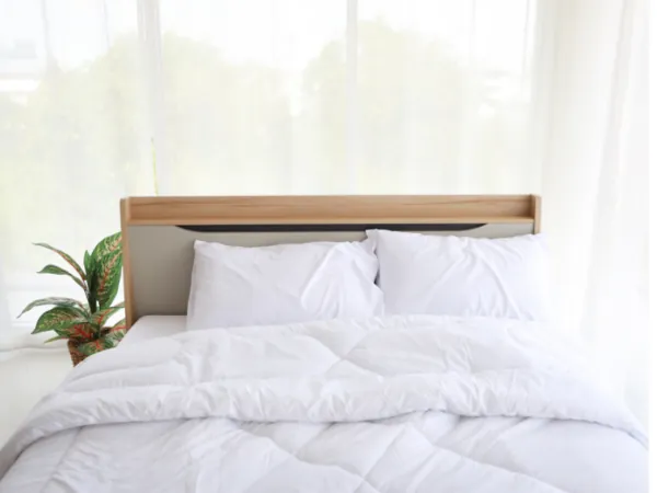 Habitació amb llit de llençols blancs i una planta
